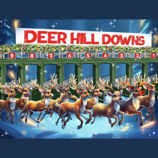 Reindeer Races at Deerhill Downs